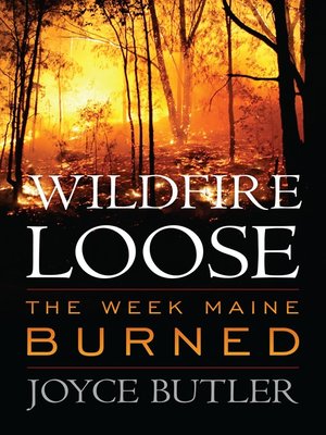 cover image of Wildfire Loose